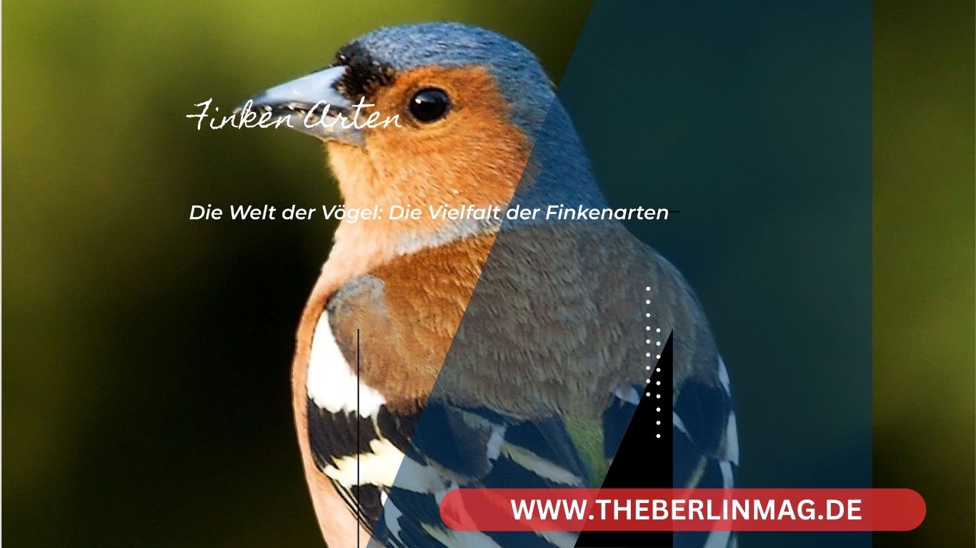Die Welt der Vögel: Die Vielfalt der Finkenarten