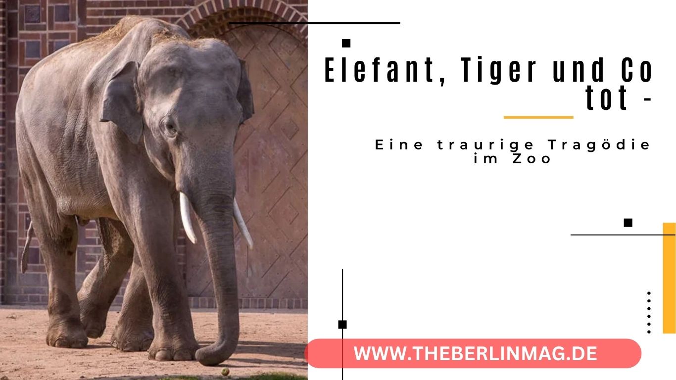 Elefant, Tiger und Co.: Pfleger tot – Eine traurige Tragödie im Zoo