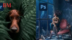 Adobe Lightroom und Photoshop: Meister der Bildbearbeitung im Jahr 2023