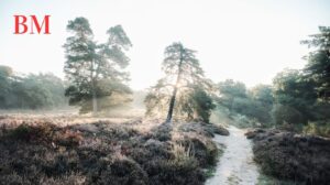 Entdecken Sie die Beliebtesten Ferienparks in Niedersachsen: Ein Paradies für Urlaub mit Kindern