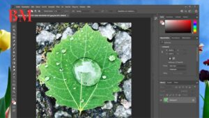 Lightroom Alternativen Überblick 2023: Die besten Tools für Fotografen im Test