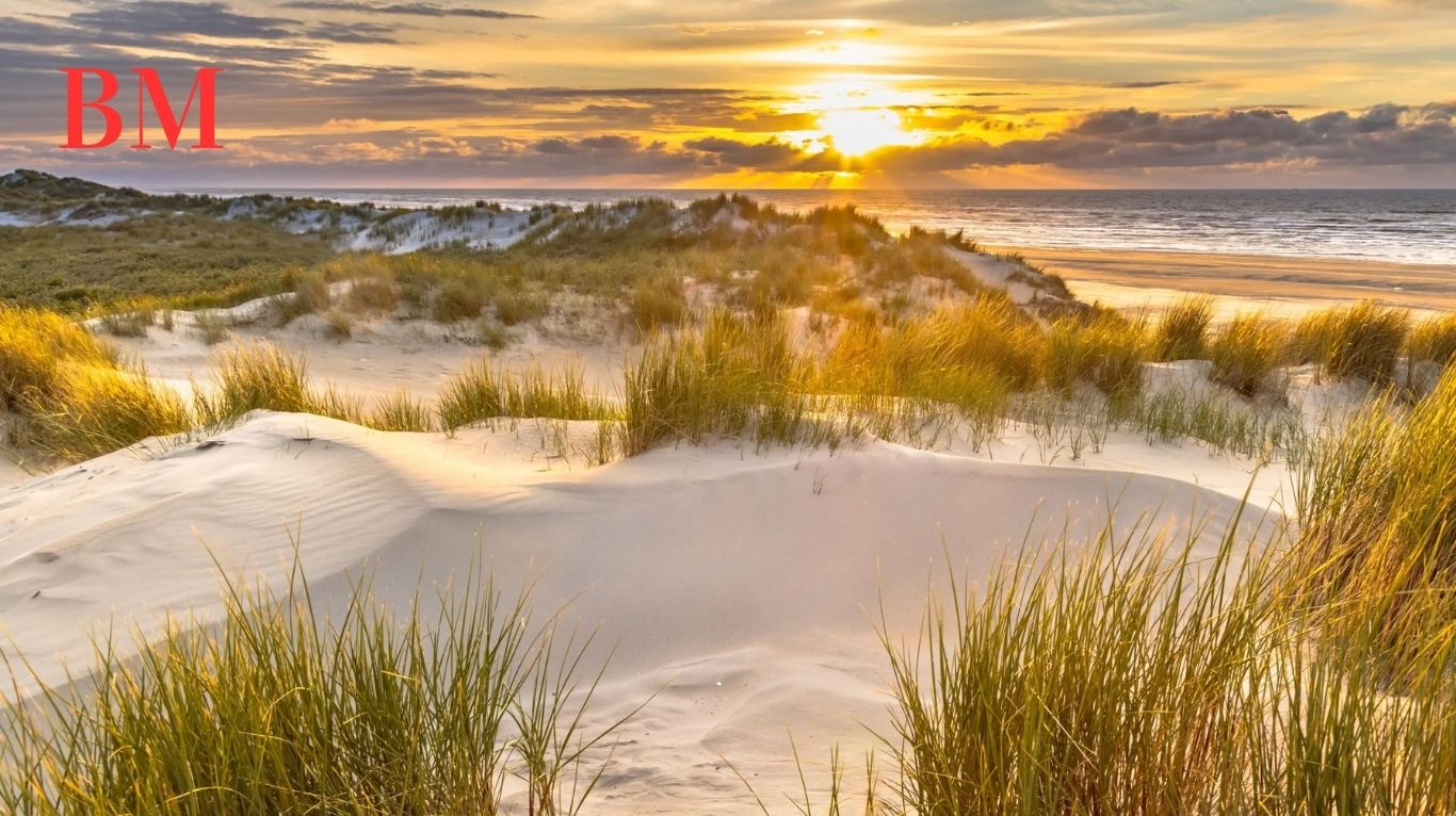 Roompot Ameland: Erleben Sie den Traumurlaub im Hollumer Ferienpark