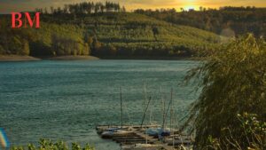 Ferienpark Sauerland: Ihr Traumurlaub im Land der Tausend Berge