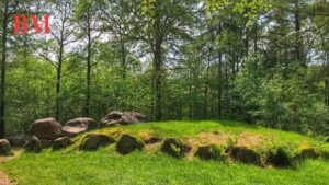 Landal Aelderholt in Aalden: Ein Ferienparadies in den Niederlanden - Eine Umfassende Bewertung