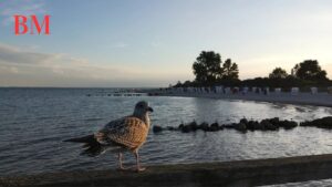 Ferienpark Ostsee: Die Perfekte Wahl für Ihren Traumurlaub