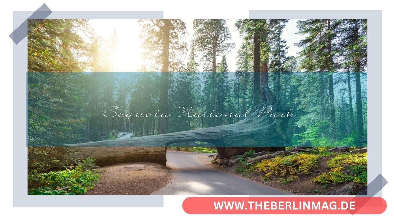 Sequoia National Park: Ein Naturwunder in Kalifornien