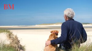 Landal Sluftervallei: Ein Idyllischer Ferienpark in De Cocksdorp, Texel