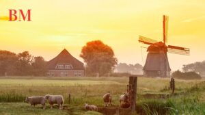 Entdecken Sie die besten Ferienparks in Nordholland: Ihr ultimativer Urlaubsguide