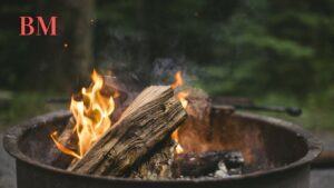 Heizsaison voraus: Die besten Holzarten für effizientes Heizen im Winter