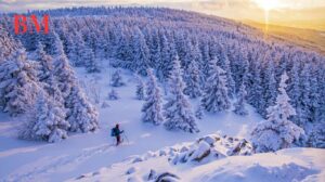 Top 18 Ferienparks in den Alpen: Ultimativer Reiseführer für Allgäu und Bayern