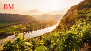 Die Besten Ferienparks in Rheinland-Pfalz: Entdecken Sie Ihr Perfektes Urlaubsziel