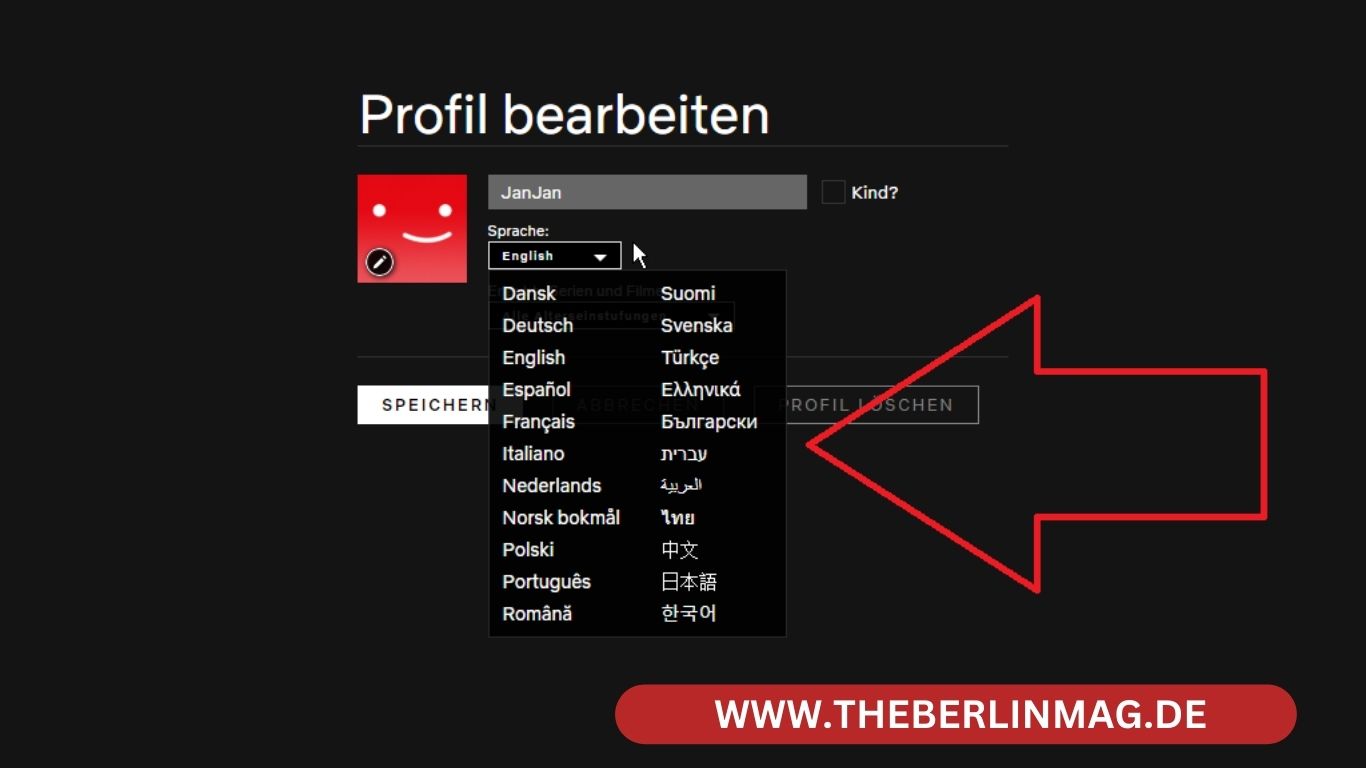 Netflix Sprache ändern: Ein einfacher Guide für personalisiertes Streaming
