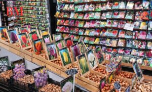 Der Schwimmende Blumenmarkt von Amsterdam: Ein Farbenmeer im Herzen der Stadt