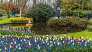 Keukenhof Amsterdam 2024: Ihr umfassender Guide zum spektakulären Blumenpark