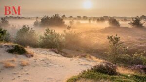 Ferienpark Landal Drentse Lagune: Ein idyllisches Urlaubserlebnis in Drenthe