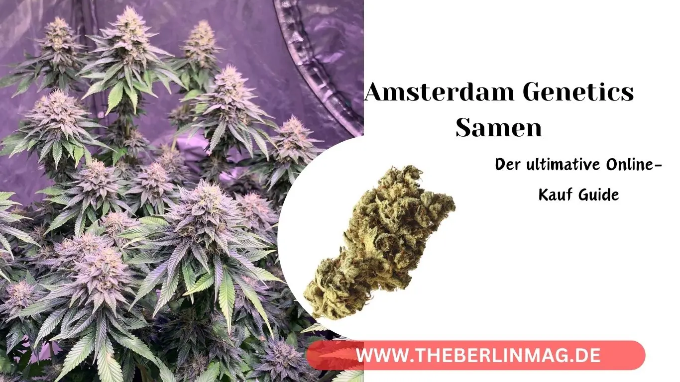 Amsterdam Genetics Samen: Der ultimative Online-Kauf Guide