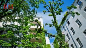 Immobilien in Wien erkunden: 3 Trends im Immobiliensektor