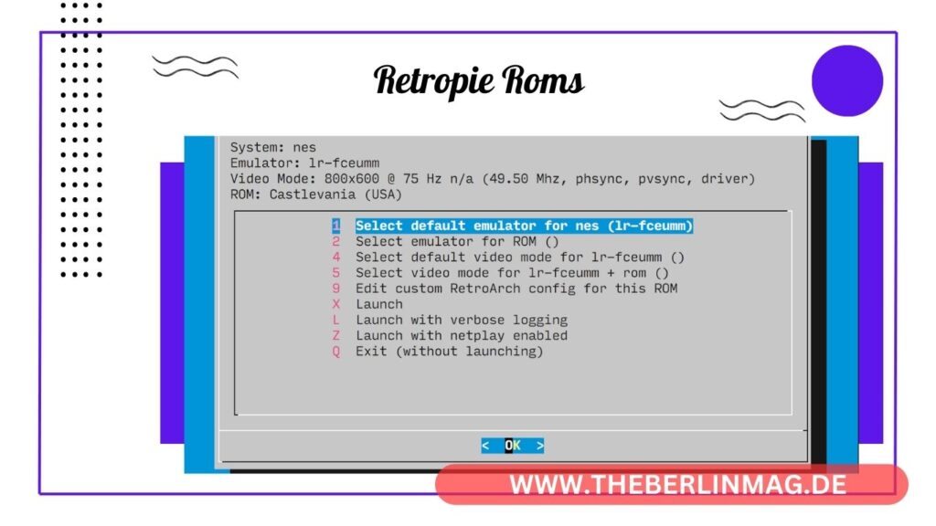 RetroPie ROMs: Ultimative Anleitung für 64GB Retro Gaming auf Raspberry Pi